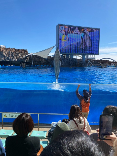 IMG_3655-fotor-20231129132935