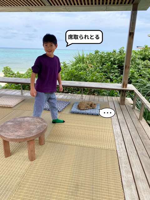 【４】お正月旅行！ 初めての冬の沖縄へ！　紅芋マン編