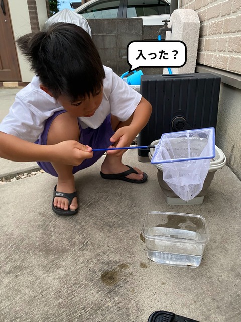 IMG_6504-fotor-20240616162046