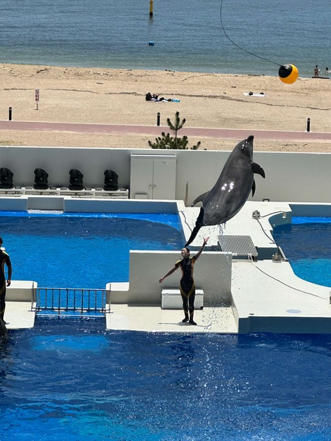 IMG_2124-fotor-2025080215110