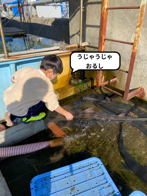 IMG_4211-fotor-20231228155354