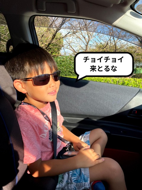 なぜか保育園の人気者に。