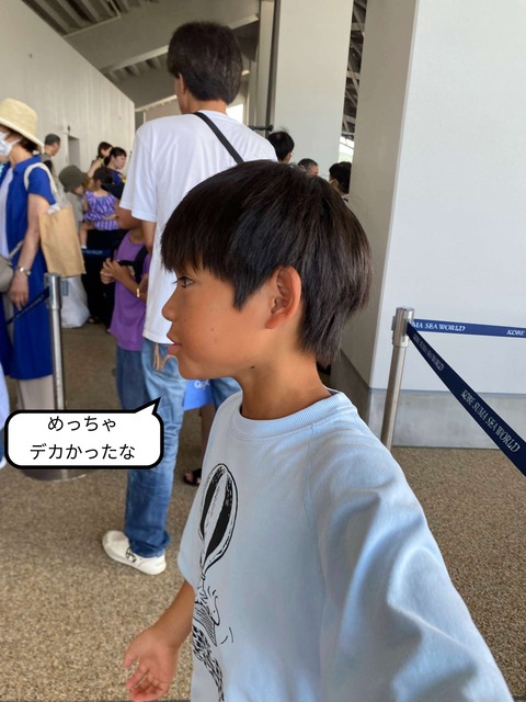 【２完】待ちに待った水族館オープン！ シャチに会いに！