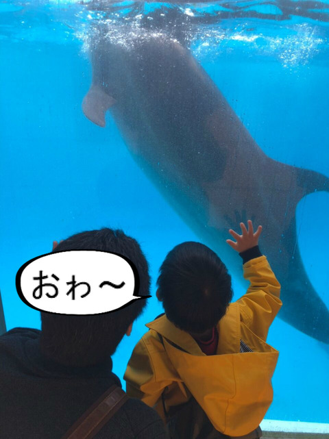 BlogPaint