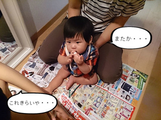 赤ちゃんのくせに何回目？？はっちゃんの散髪。