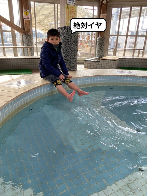 fotor_2023-4-3_21_42_12