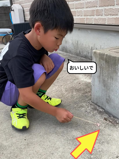 IMG_6302 - frame at 0m8s-fotor-2024060292138