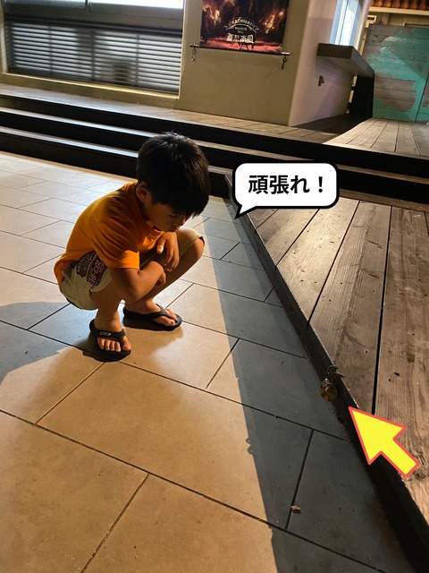 【５】３年ぶりの石垣島！！ 巨大ヤシガニとライブディナー編