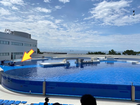 IMG_7310-fotor-20250729215417