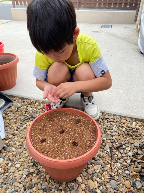 IMG_1810-fotor-2023071294419