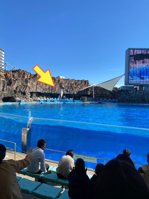 IMG_3669-fotor-20231129132910