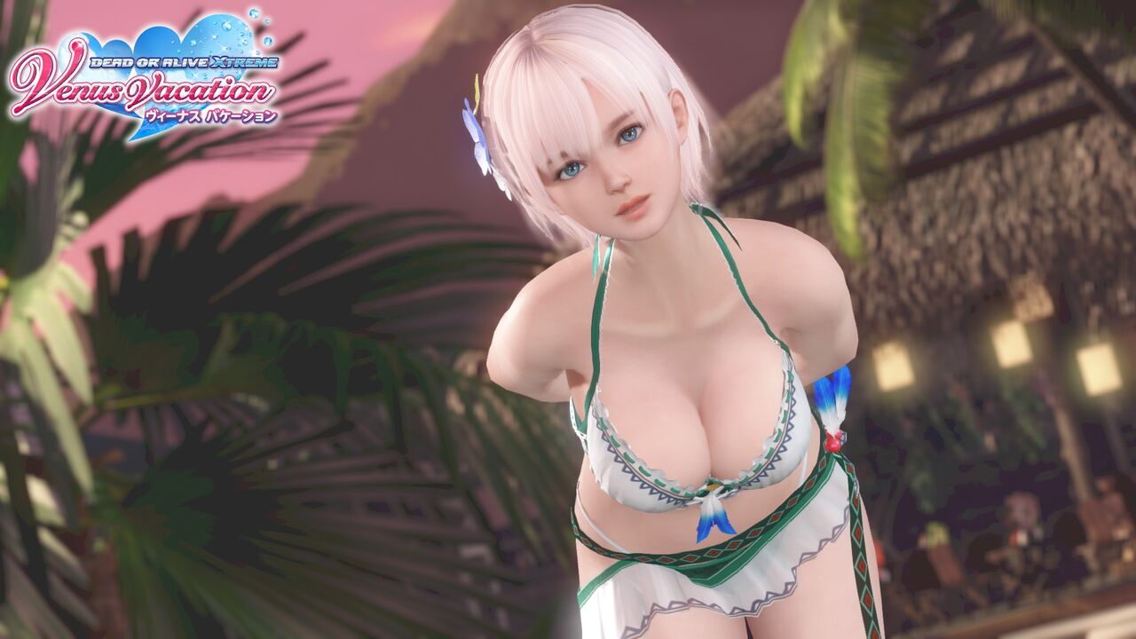 VV日記（2021.04.19）VVへの要望とその後 : DOAXVVのすすめ