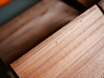 P1340904