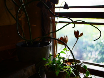 P1300963