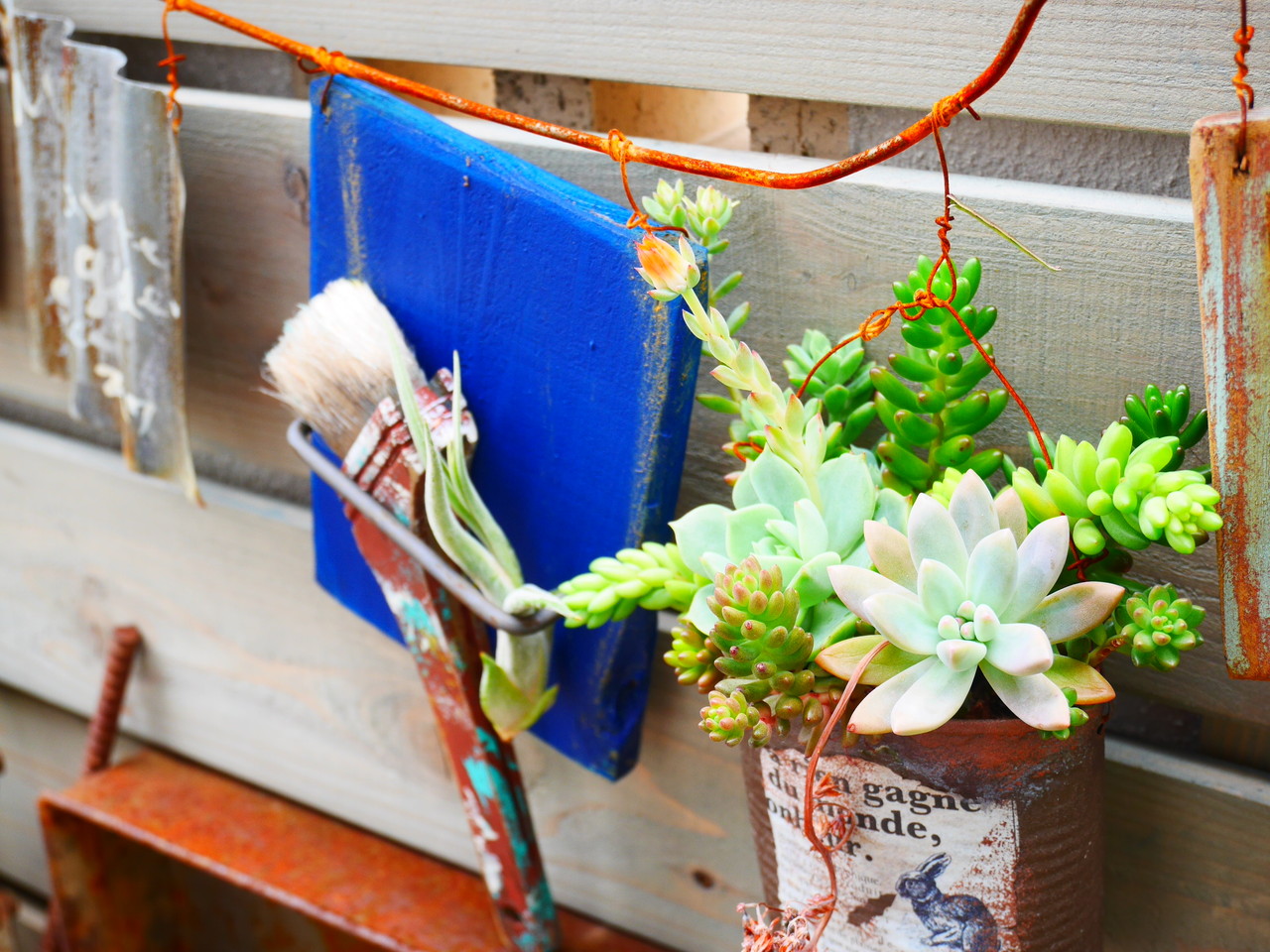 最近の多肉ごと＆ガーデンピック* : HANDWORKS*RELAX anさんのDIY+
