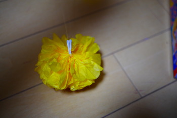 P1250916
