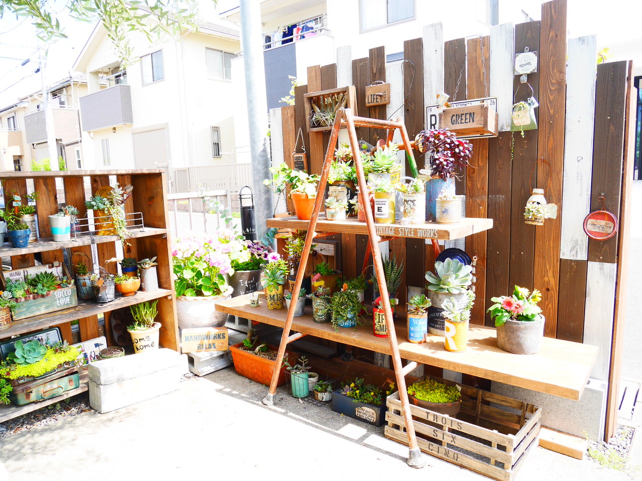 ラダー はしご と足場板で多肉棚 Handworks Relax Anさんのdiy リメイク 日々のこと Powered By ライブドアブログ ラダー はしご と足場板で多肉棚 Handworks Relax Anさんのdiy リメイク 日々のこと Powered By ライブドアブログ