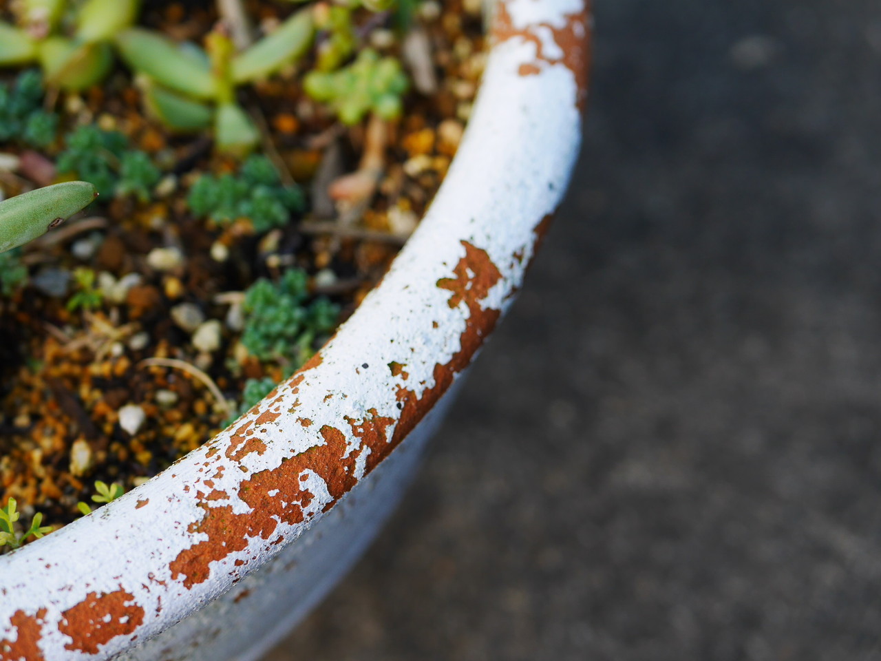 100均だけで缶や鉢をリメイクして植物を植えよう 100均リメイク缶diy講座 Handworks Relax Anさんのdiy リメイク 日々のこと Powered By ライブドアブログ