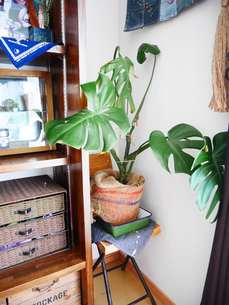 ダイソーの新デザイン インテリア麻袋をディスプレイ Handworks Relax Anさんのdiy リメイク 日々のこと Powered By ライブドアブログ