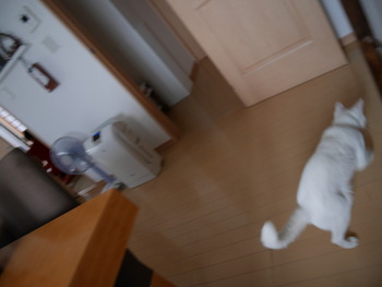 P1000030