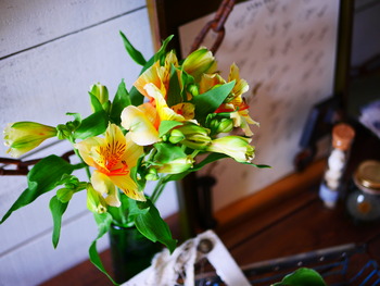 P1310791