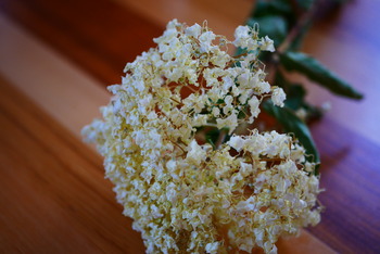 P1250669