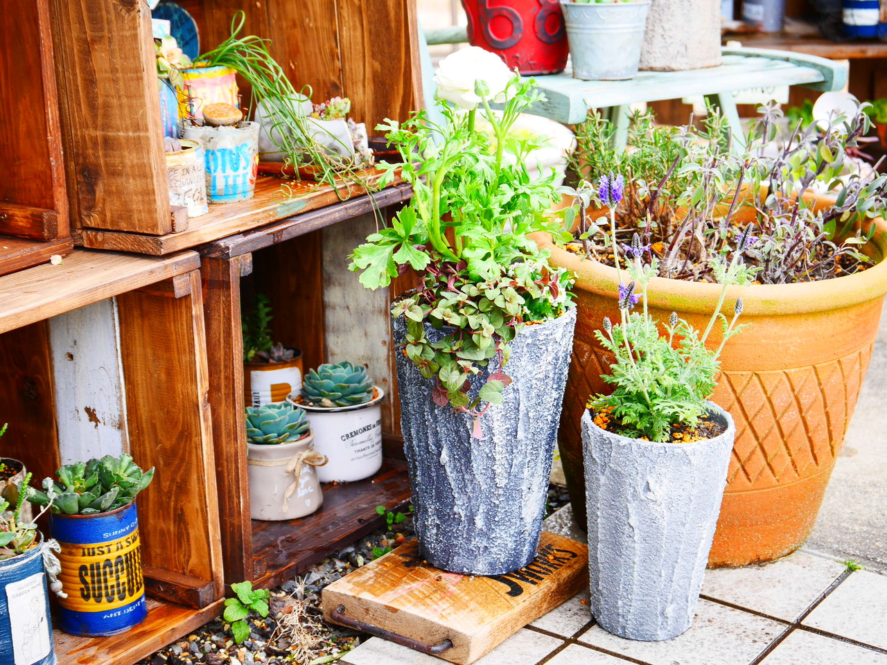 素焼き鉢　3個セット　オリジナルペイント鉢sp-1 素焼き鉢 3個セット オリジナルペイント鉢sp-1 よくある素焼き鉢