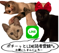 LINE読者登録画像