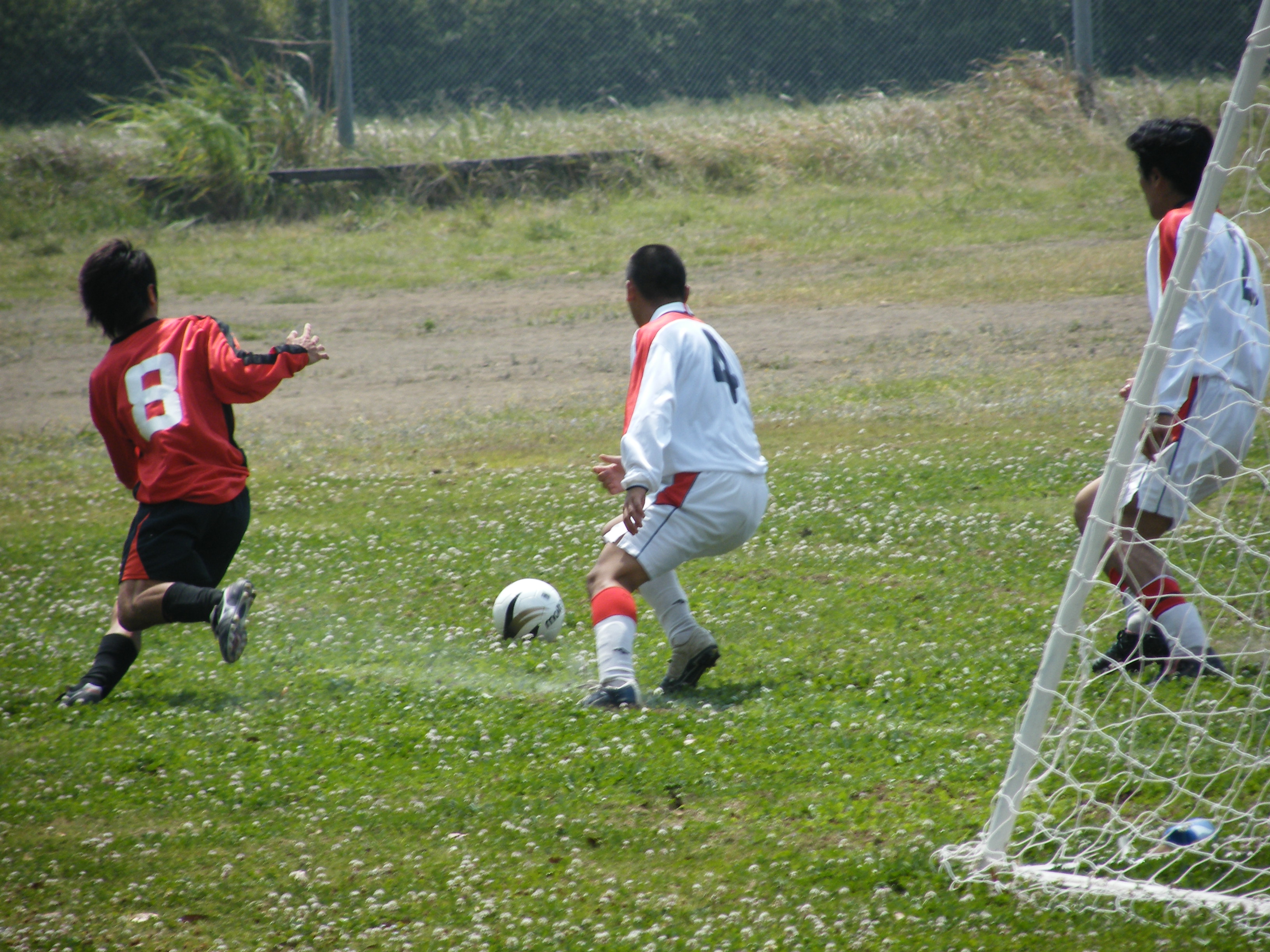 Msu F C 試合結果