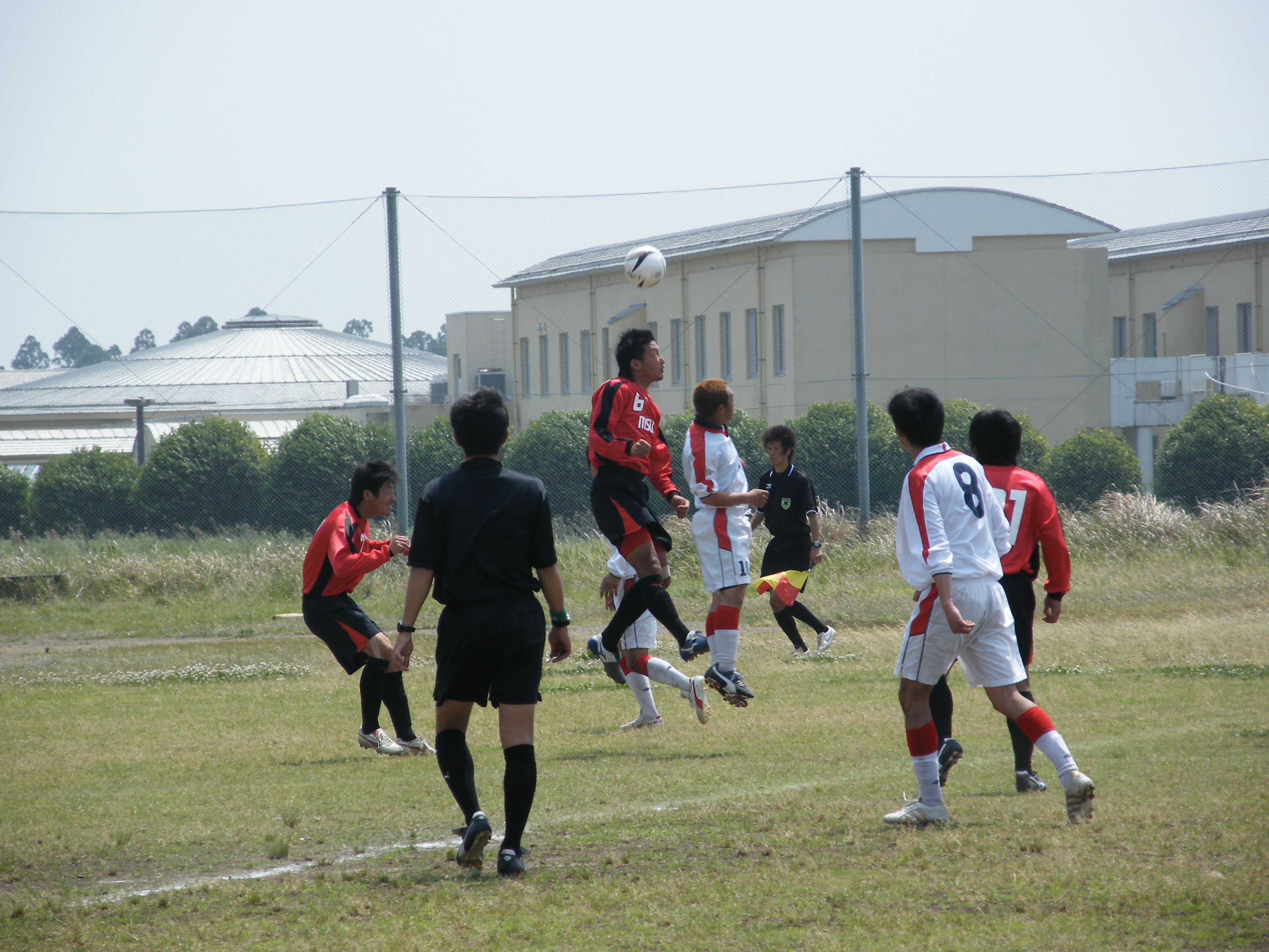 Msu F C 試合結果