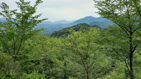 yae_0094_07