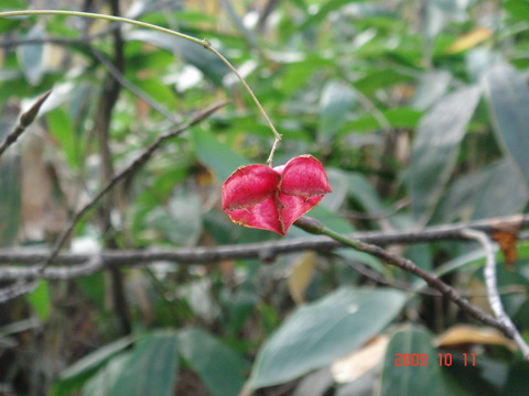 09_10_jone098