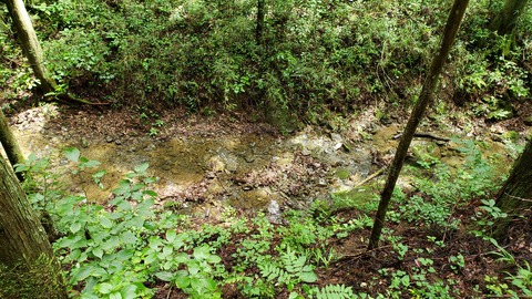 yae_0092_02