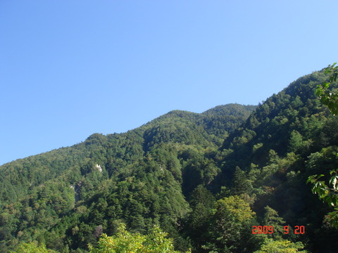 09_09_tsuba003