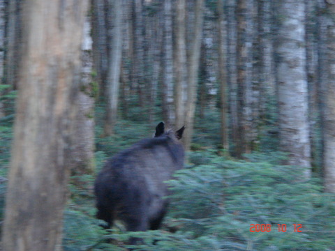 08_10_yatsu026