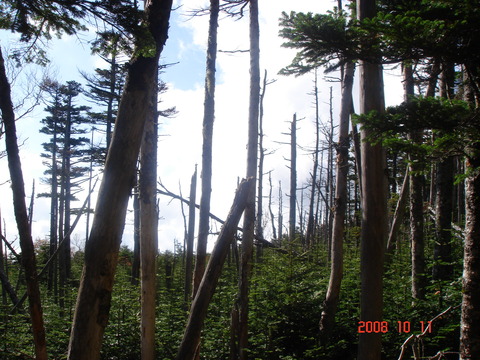 08_10_yatsu015