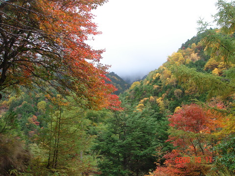 08_10_yatsu005
