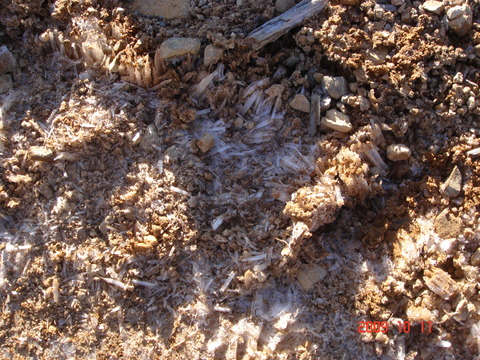09_10_jone063