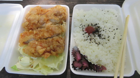 2019_08_11 konashi019