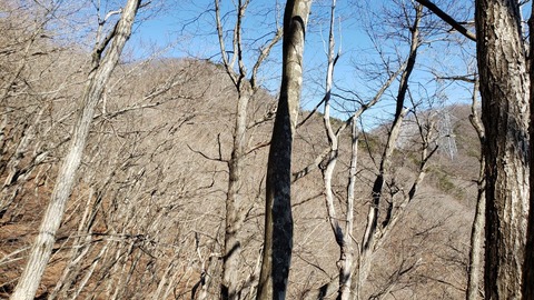 2020_02_11_sasago26
