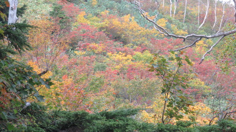 2018_09 hotaka011