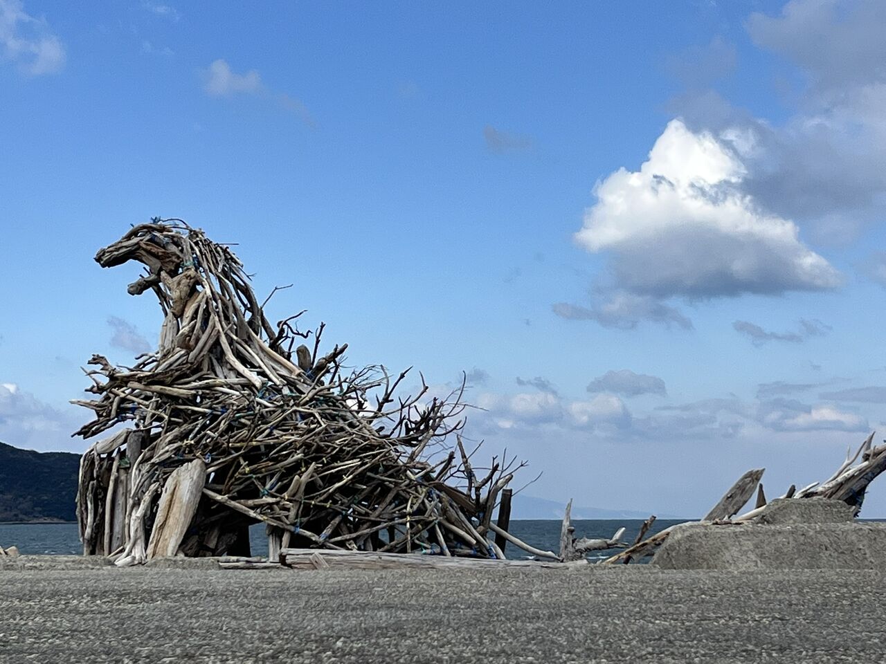 鳴門の海に現れた！流木で作られたゴジラが不法投棄防止を訴える 現地
