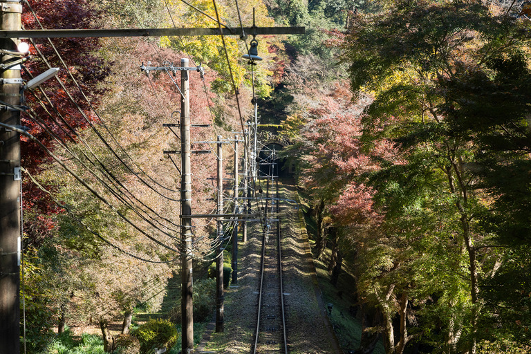 紅葉の高尾山2024年11月25日_41