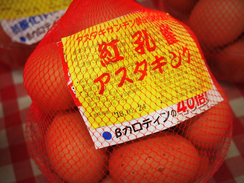 紅孔雀アスタキング