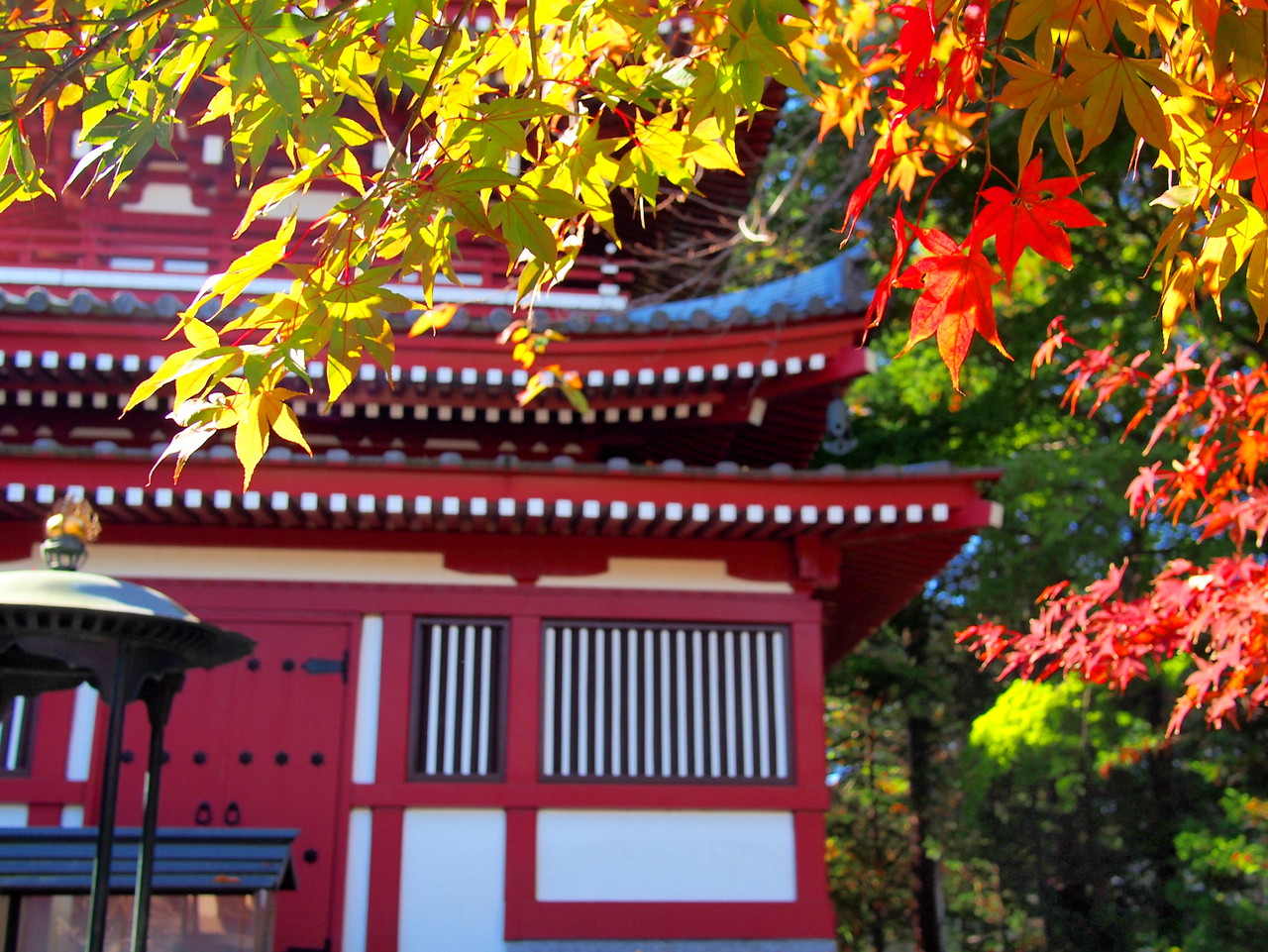 船橋カメラ部 第2回 松戸 本土寺の紅葉歩き 安藤信作の 船橋から 小さいけれどいいものを 船橋カメラ部 第2回 松戸 本土寺の紅葉歩き 安藤信作の 船橋から 小さいけれどいいものを