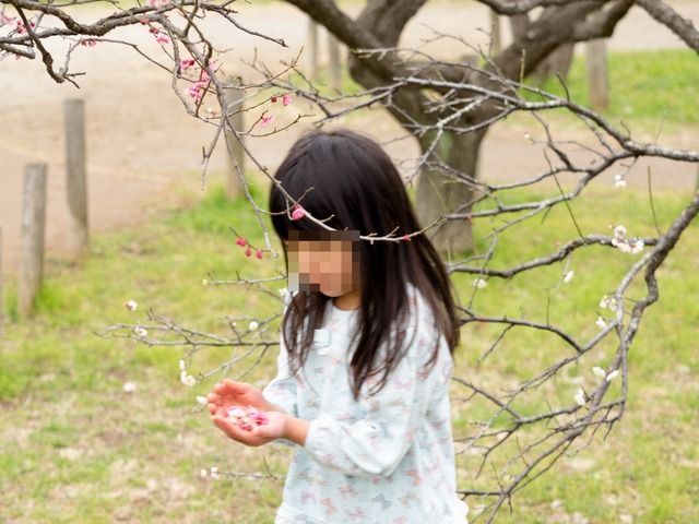 習志野市梅林園-4-2