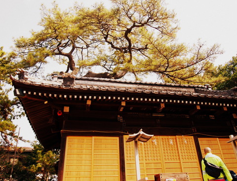 葛飾神社