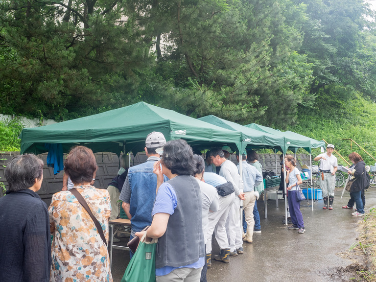 野菜売ってました。