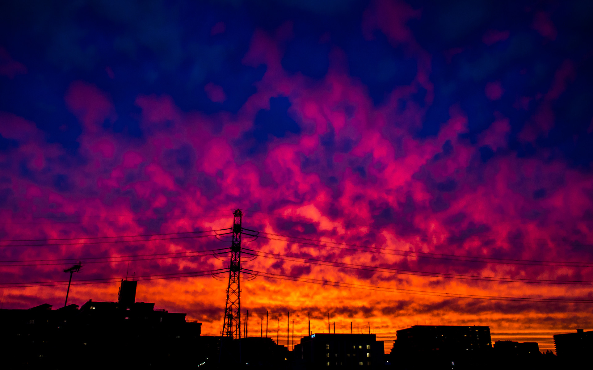 この頃の夕焼け事情と夏の楽しみ 安藤信作の 船橋から 小さいけれどいいものを この頃の夕焼け事情と夏の楽しみ 安藤信作の 船橋から 小さいけれどいいものを
