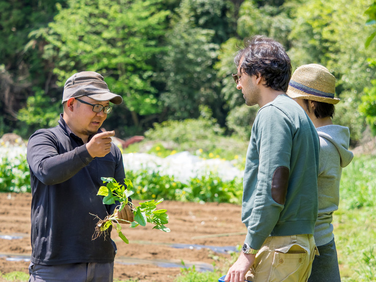 山田農場の4月‐1